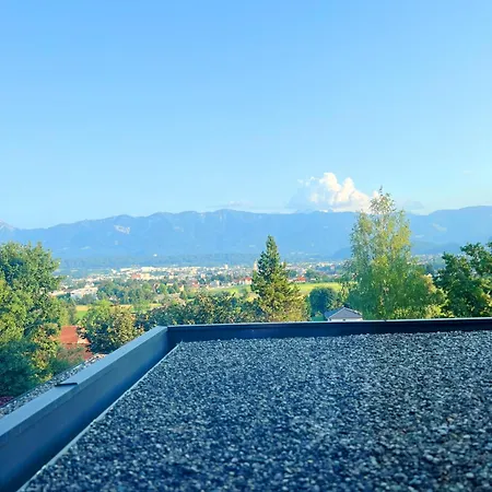 Alpine Sunlight